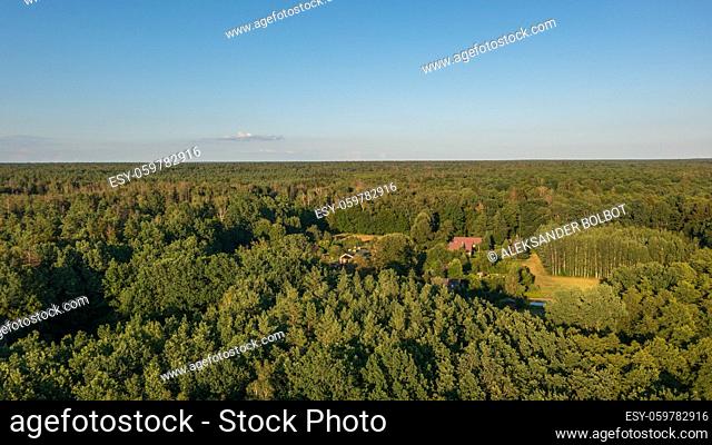 Polish part of Bialowieza Forest to east with Sacharewo settlement aerial view, Podlaskie Voivodeship, Poland, Europe
