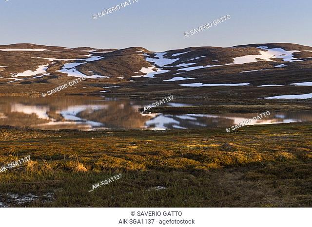 Landscape, tundra landscape with snow patches