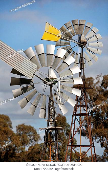 Windpumps on a farm in country Victoria, Australia