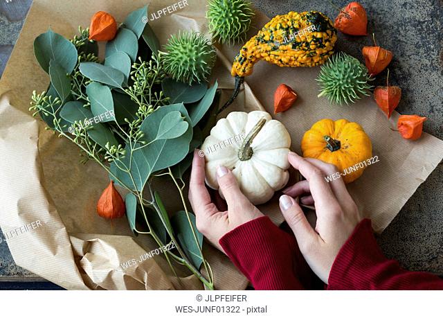 Autumnal decoration, woman's hand taking ornamental pumpkin