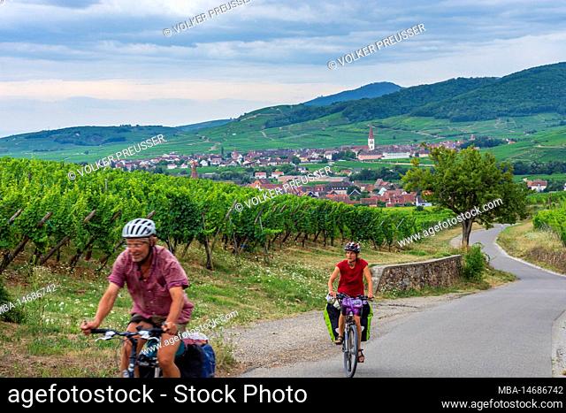 Kientzheim (Kienzheim), villages Kientzheim (Kienzheim) and Ammerschwihr (Ammerschweier) in the back, vineyards, cyclists in Alsace (Elsass)