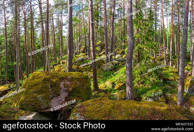 Ostgota trail, a sometimes breathtaking nature trail in Sweden