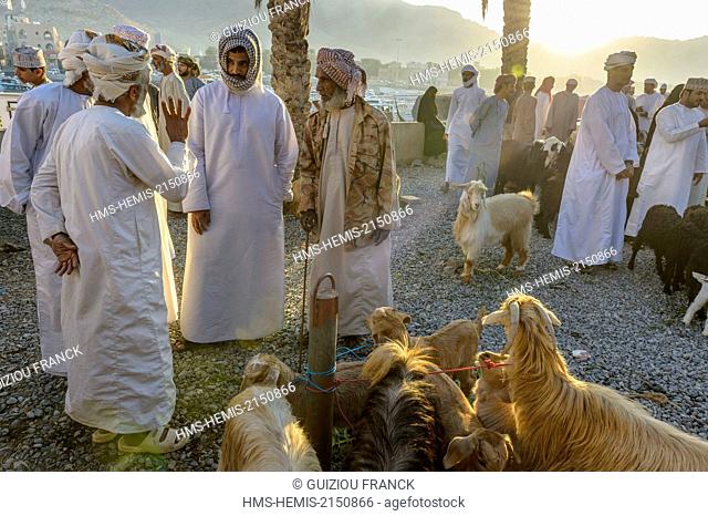 Sultanate of Oman, gouvernorate of Ad-Dakhiliyah, Nizwa, the friday livestock market