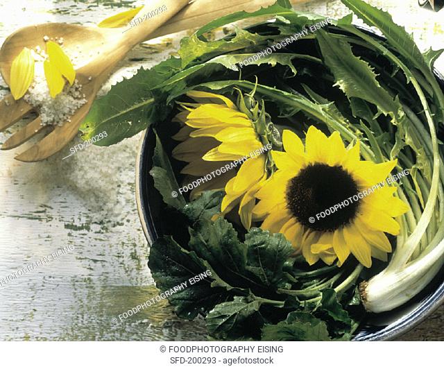 Sunflowers in a Bowl with Dandelion Greens
