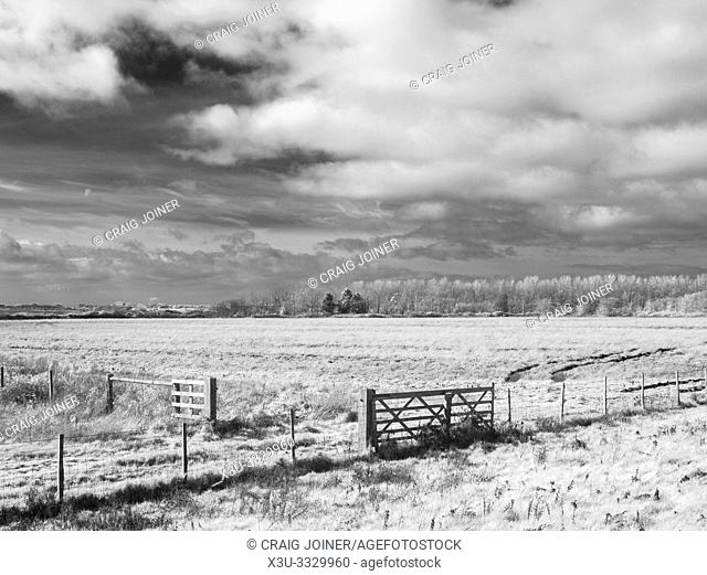 An infrared image of farmland at Medmerry Nature Reserve, West Sussex, England