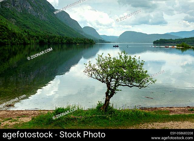 Colorful spring panorama of the Bohinj Lake at Ukanc. Picturesque moning scene in the Triglav National Park, Julian Alps