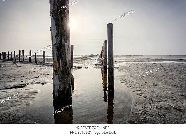Wooden posts on the beach of Sankt Peter-Ording, Schleswig-Holstein, Germany