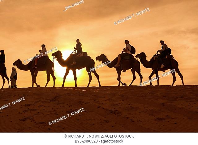 Tourist ride camels at Erg Chebbi, Morocco. Northern Sahara Desert