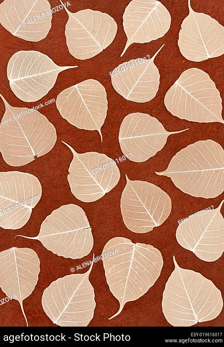 Skeletal leaves over brown handmade paper - background