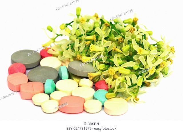 Pills made from medicinal neem flower and leaves over white background