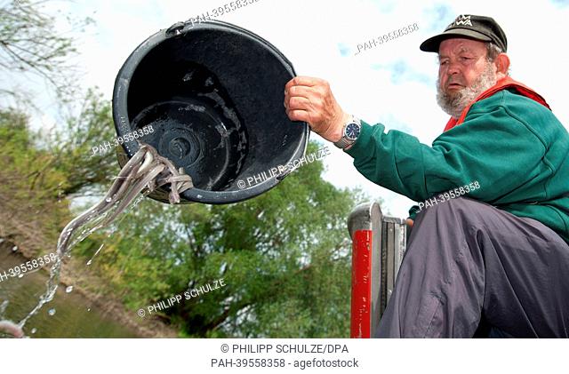Fisher Richard Kruse pours a bucket of young eels into the Elbe River in Bleckede,  Germany, 16 May 2013. In more than 100 locations between Hamburg and...