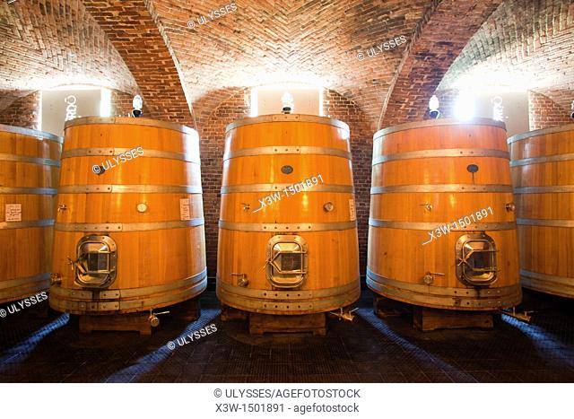 wineries cerreto of st cassiano, alba, cuneo, langhe, piemonte, italy, europe