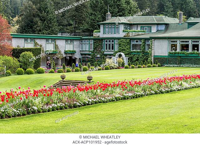 Tulip bed, Butchart Gardens, Brentwood Bay, near Victoria, British Columbia, Canada