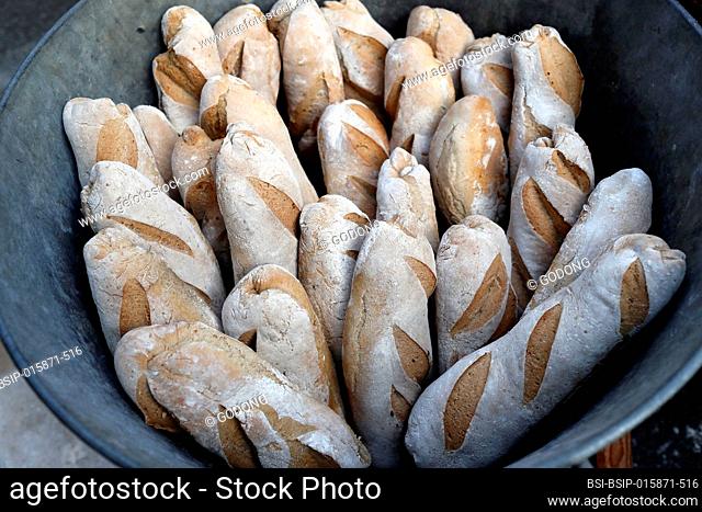 Old Domancy craft festival. Traditional bread making. France