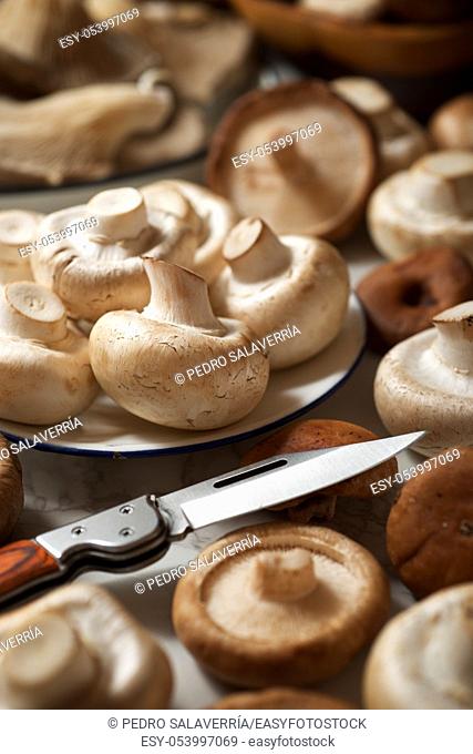Mushrooms on a marble table