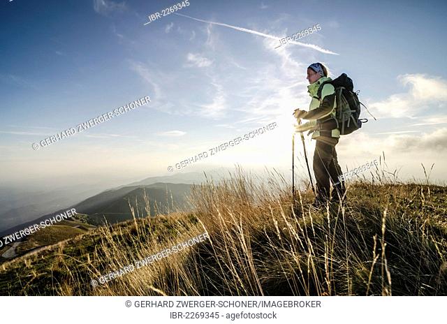 Female hiker, woman in her early 40, standing on Col Visentin mountain at sunset, Italy, Europe