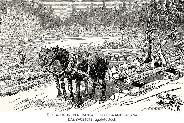 Hauling timber with horses, Winnipeg, Canada, illustration from the magazine The Graphic, volume XXX, no 768, August 16, 1884
