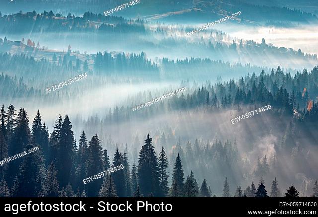 The air. Light and shadows in mist. First rays of sun through fog and trees on slopes. Morning autumn Carpathian Mountains landscape (Ivano-Frankivsk oblast