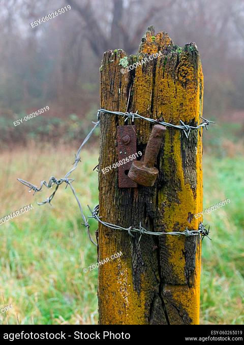 Portrait image of old weathered gate post in a field with copyspace. High quality photo
