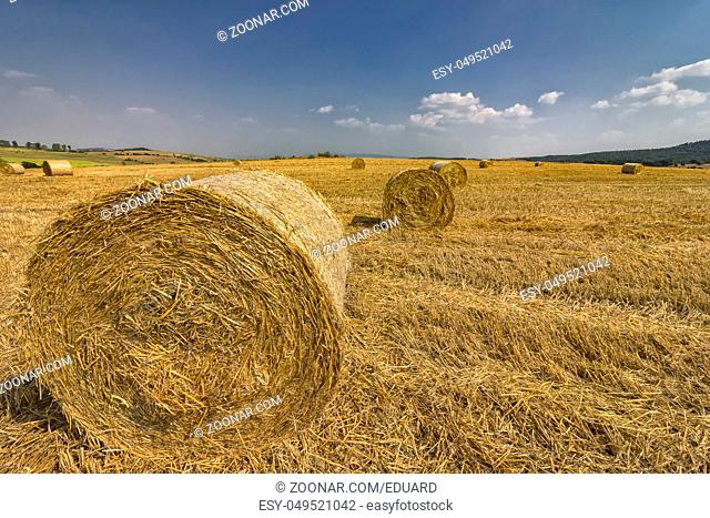 Big bales hay on the field after harvest