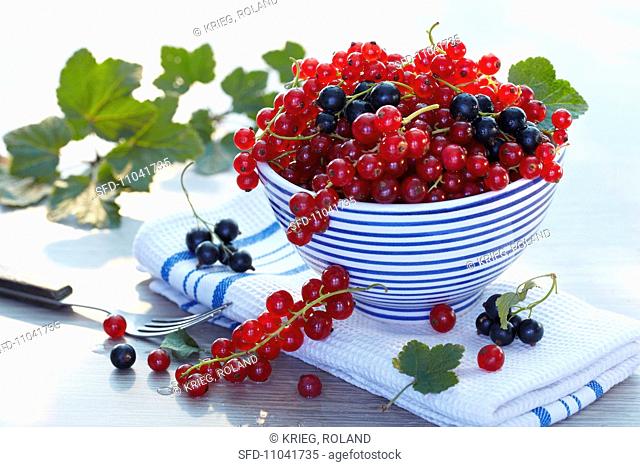 Redcurrant and blackcurrant in a bowl on a folded tea towel