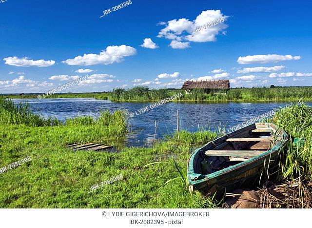 Boat and Narew River near Waniewo village, Narwianski National Park, Poland, Europe