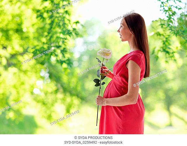happy pregnant woman with rose flower in summer