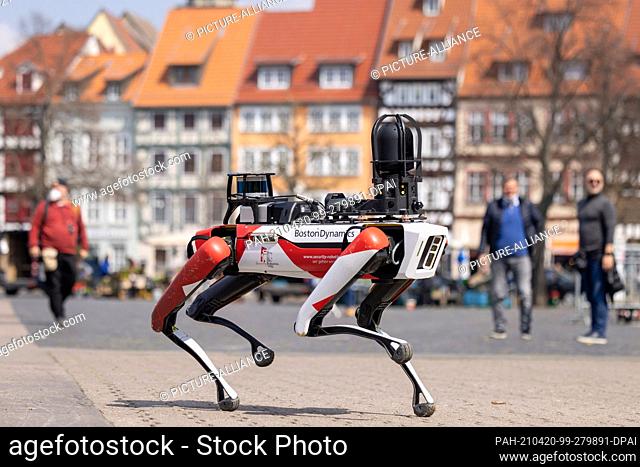 20 April 2021, Thuringia, Erfurt: Spot, a robot with dog-like movements, walks across the Domplatz. The security service provider Ciborius