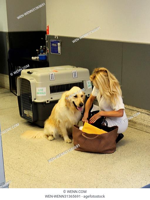 Pamela Anderson arrives at Los Angeles International Airport with her golden retriever Featuring: Pamela Anderson Where: Los Angeles, California
