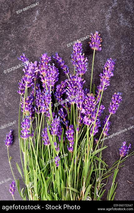 Top view of fresh lavender bouquet on black stone background, copy space for your text