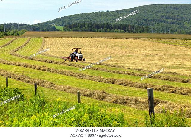 Farmer cutting hay, Mabou, Cape Breton, Nova Scotia, Canada