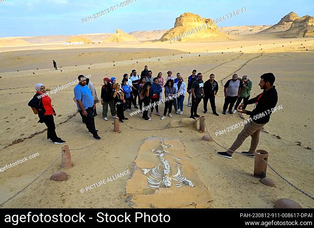 12 August 2023, Egypt, Faiyum: A guide (R) explains to a group of tourist the fossil of a whale ""Dorudon"" at Wadi El Hitan (Valley of the Whales)
