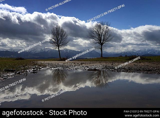 12 March 2021, Bavaria, Stötten: Trees and the sky are reflected in a rain puddle on the 1055 meter high Auerberg in front of the panorama of the Alps