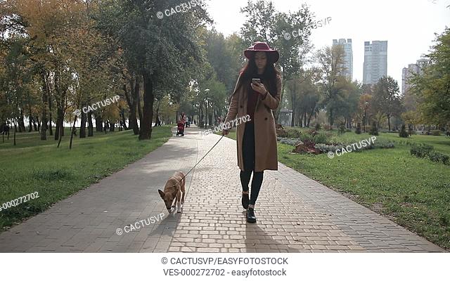 Charming woman texting on phone while walking dog