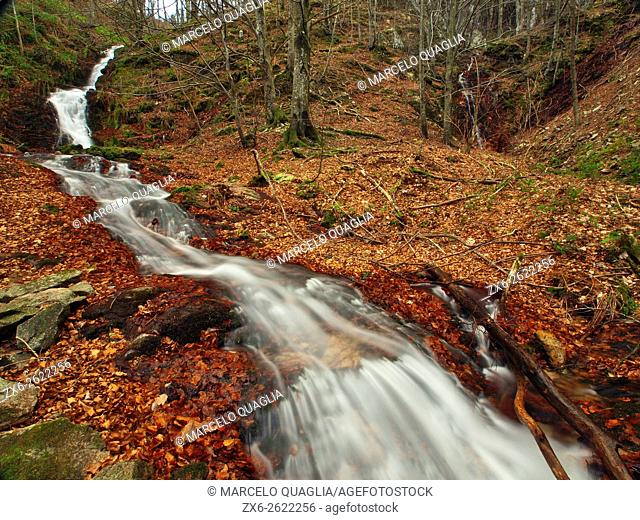 Marianegre stream waterfalls. Winter beech forest (Fagus sylvatica). Montseny Natural Park. Barcelona province, Catalonia, Spain