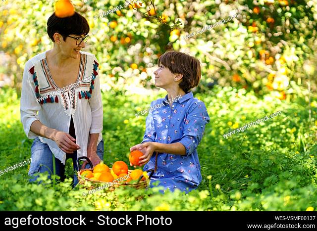 Mother and daughter harvesting oranges in the field