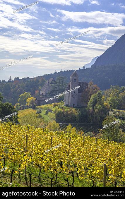 Autumn vineyards and chapel at Englar Castle, St. Michael, South Tyrol, Italy, Europe