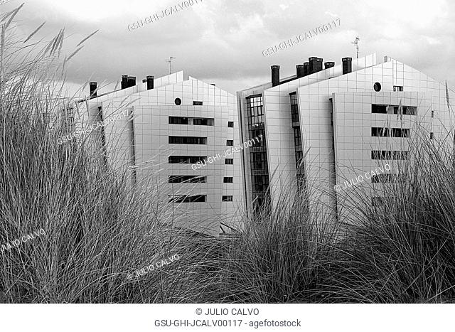 Modern Buildings Next to Tall Grass and Dunes