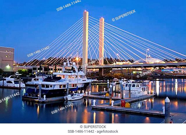 Yachts at a harbor, Foss Landing Marina, Tacoma, Pierce County, Washington State, USA