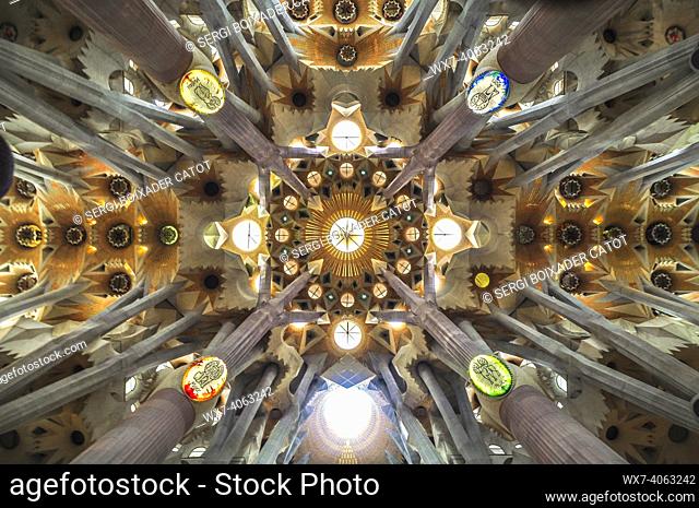 Zenithal view of the crossing of the naves inside the Sagrada Familia basilica, with the ramifications of the columns resembling a forest (Barcelona, Catalonia
