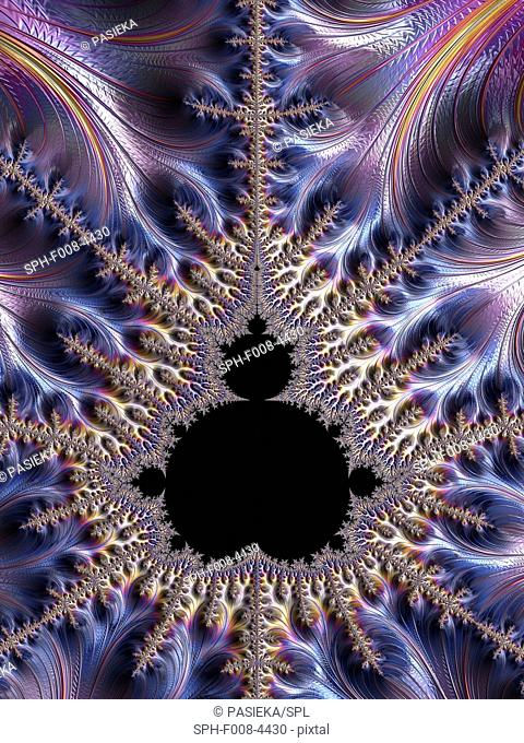 Mandelbrot fractal. Computer graphic showing a fractal image derived from the Mandelbrot Set. Fractals geometry is used to derive complex shapes as often occur...
