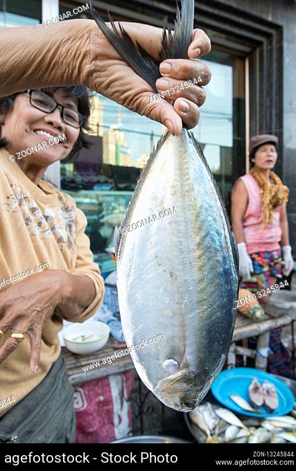 the fish market at the day market in the city centre of Si Racha in the Provinz Chonburi in Thailand. Thailand, Bangsaen, November, 2018