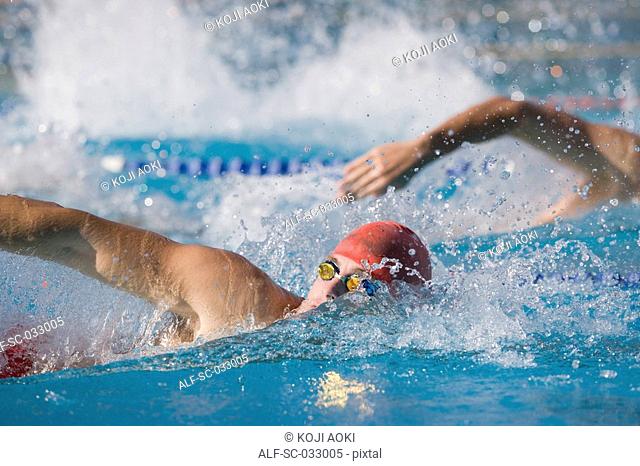 Australian swimmers competing for front crawl