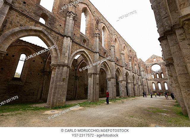 San Galgano Abbey ruins in Chiusdino, Siena, Tuscany, Italy, Europe