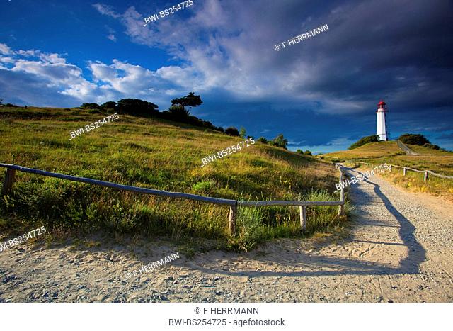 path through the dunes to the lighthouse in morning light, Germany, Mecklenburg-Western Pomerania, Hiddensee