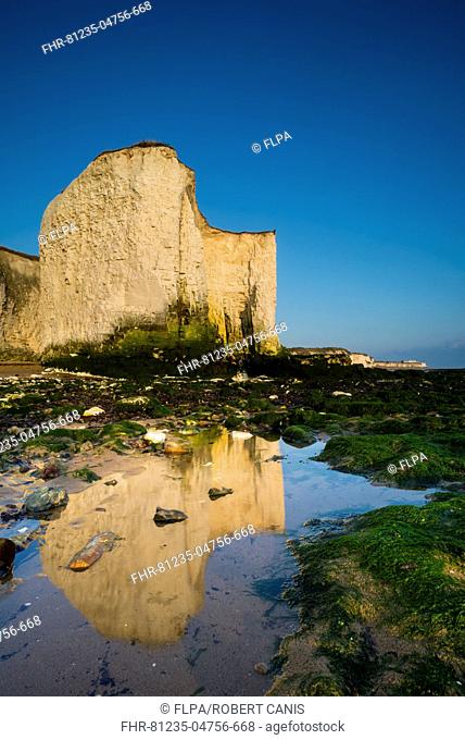 View of chalk sea stacks reflected in pool on beach at sunrise, Kingsgate Bay, Broadstairs, Kent, England, August