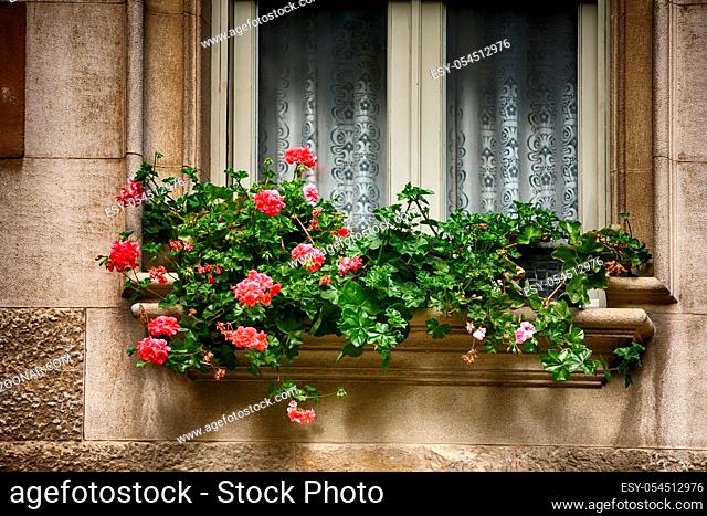 Window decorated with fresh flowers in pots in Spain