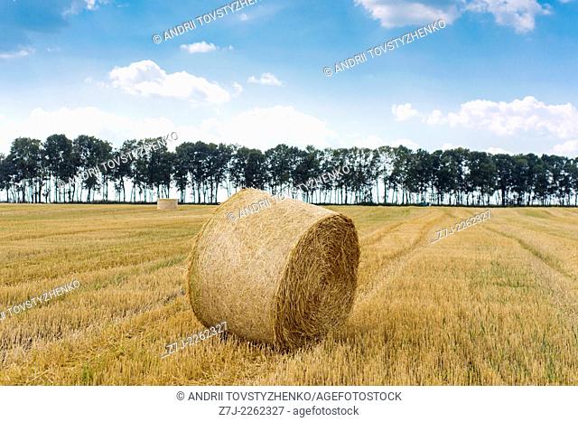 boulders straw stubble field, Ukraine