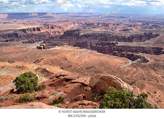 View of the Colorado River Canyon as seen from the Grand View Point, Canyonlands National Park, Moab, Utah, USA