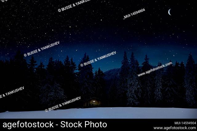 Winter night with stars, moon and a dark forest